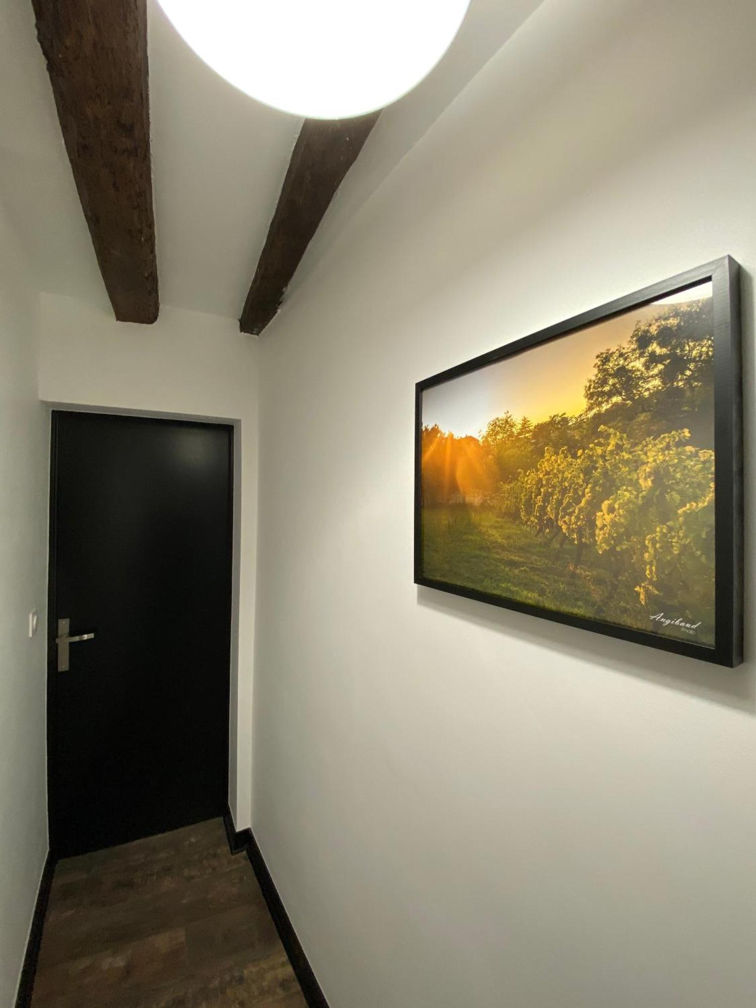 Apartmán La Propriete De Bacchus Saumur Pokoj fotografie